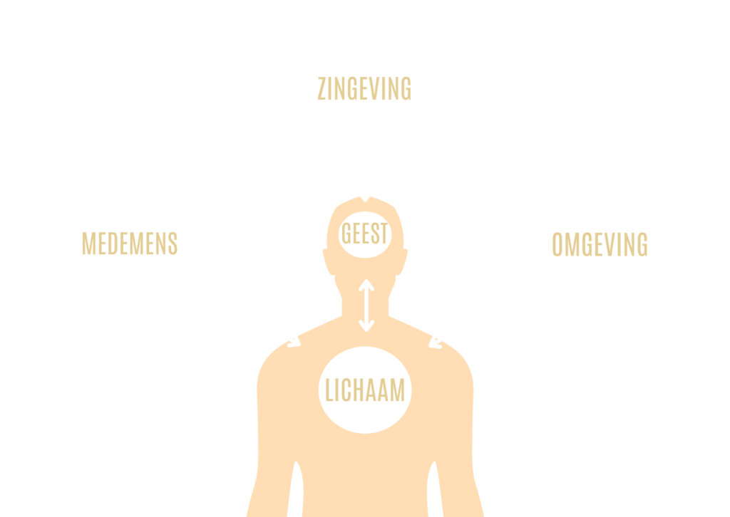 Welzijn, gezondheid, pijlers